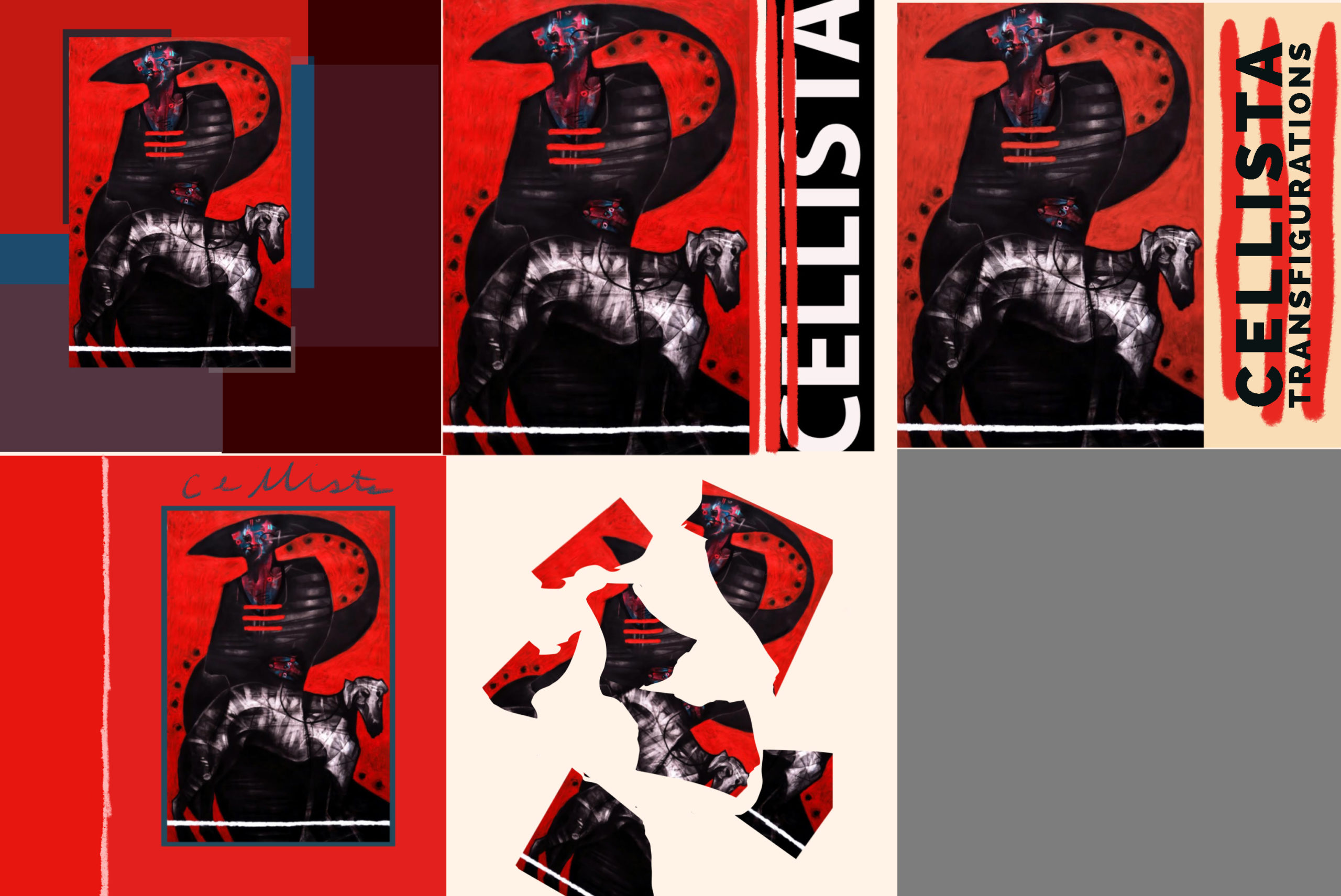 Cellista Album process images